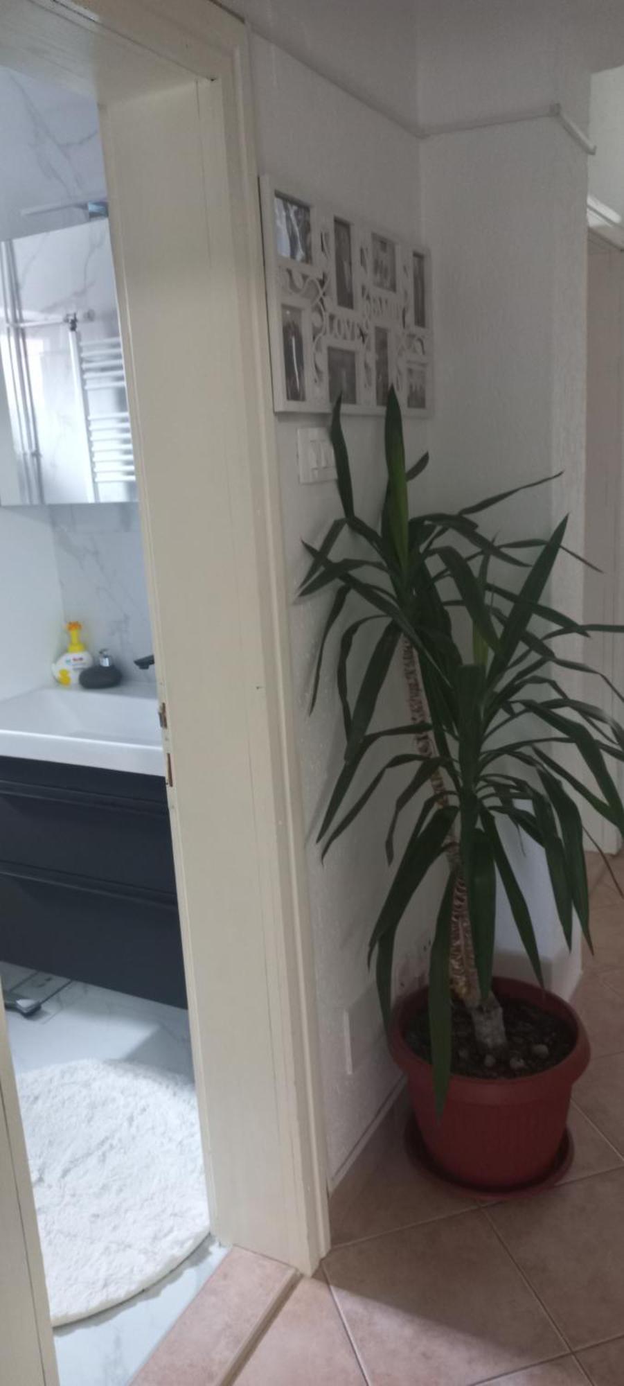 Holiday Home Peaceful Retreat Високо Экстерьер фото